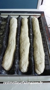 baguettes