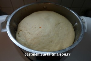 pizza roulée