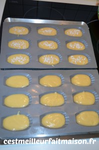 Madeleines