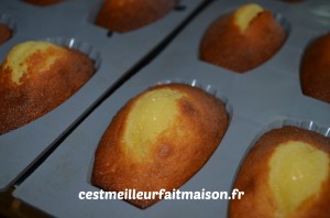 Madeleines