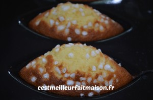 Madeleines