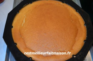 Gâteau magique à la vanille