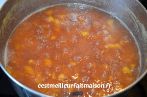 Confiture de pêches jaunes à la vanille