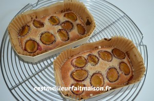 Gâteaux aux quetsches et à la cannelle
