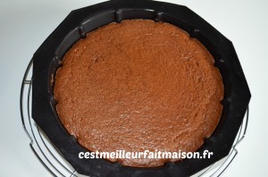 Gâteau magique au chocolat et à la noix de coco