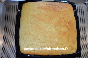 Gâteau magique au citron