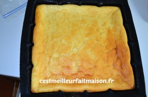 Gâteau magique au citron