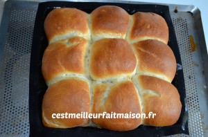 Brioche au petit lait