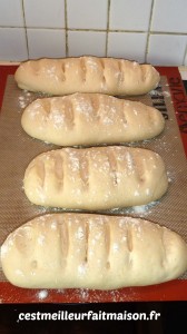Petits pains au Fjord