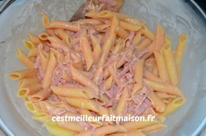 Gratins de penne à la tomate et au jambon