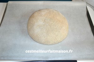 Pain de méteil