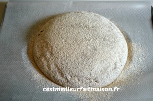 Pain de méteil