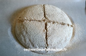 Pain de méteil