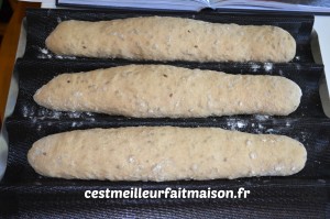 Baguettes aux céréales