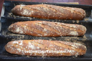 Baguettes aux céréales