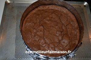 Gâteau double chocolat