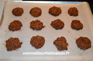 Cookies chocolat noix (sans gluten, sans œufs, sans lait)