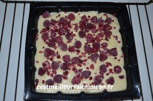 Gâteau aux amandes et aux framboises