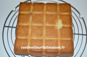 Gâteau aux amandes et aux framboises