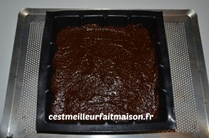 Gâteau au chocolat (sans gluten, sans œuf, sans lait)