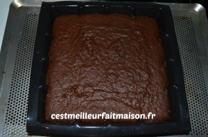 Gâteau au chocolat (sans gluten, sans œuf, sans lait)