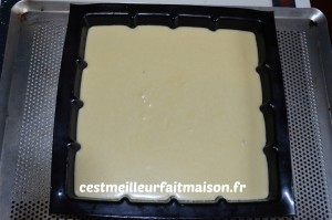 Gâteau fondant à la noix de coco