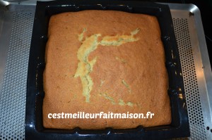 Gâteau fondant à la noix de coco