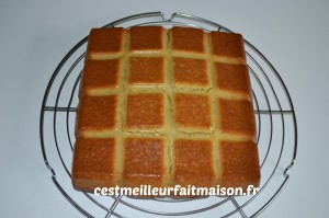 Gâteau fondant à la noix de coco