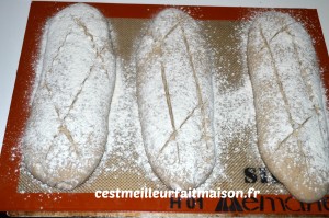 Pain rustique