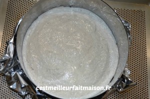 Gâteau noix de coco mangue vanille