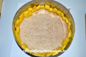 Gâteau noix de coco mangue vanille