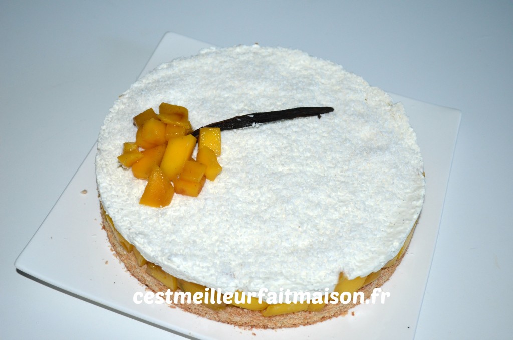 Gâteau noix de coco mangue vanille