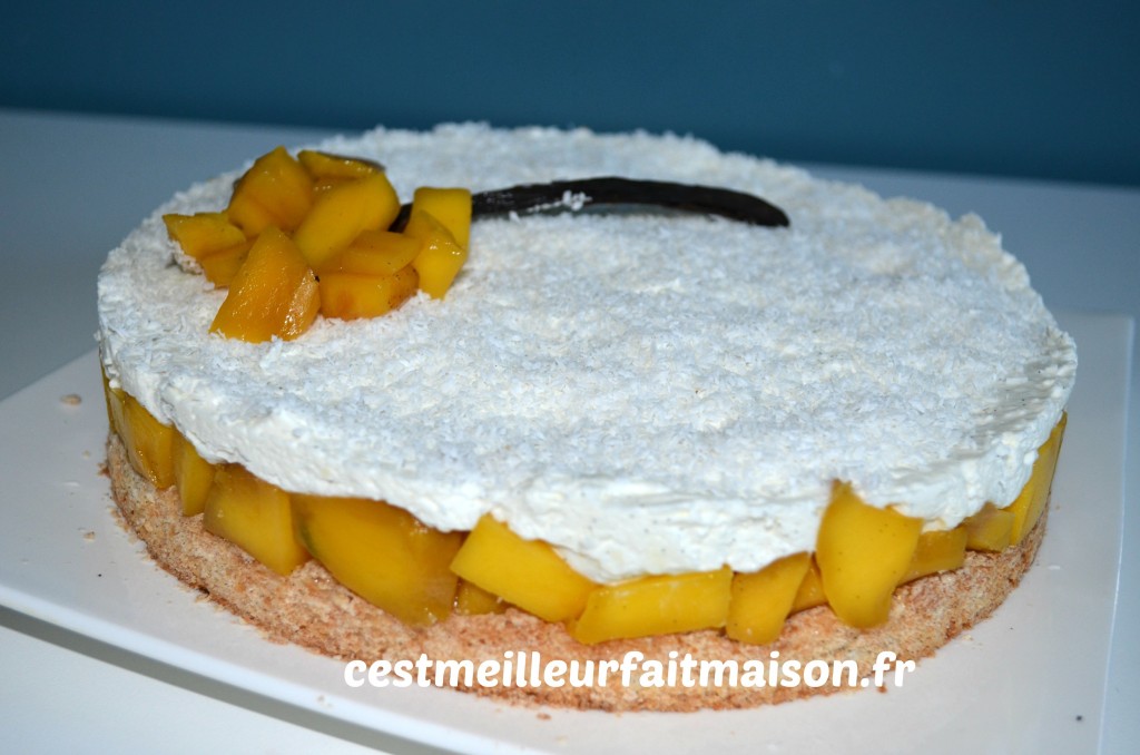 Gâteau noix de coco mangue vanille