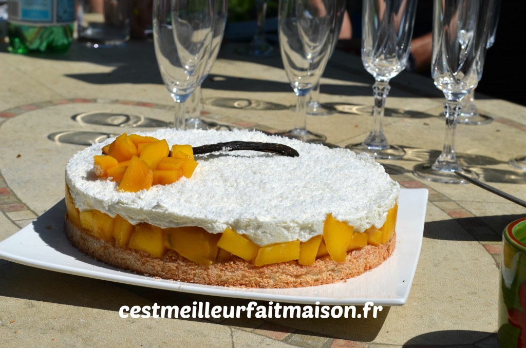 Gâteau noix de coco mangue vanille