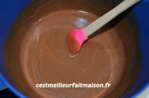 Gâteau chocolat praliné