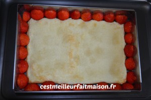 Fraisier