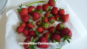 Fraisier