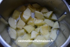 Jus de pomme