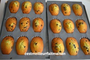 Madeleines menthe chocolat