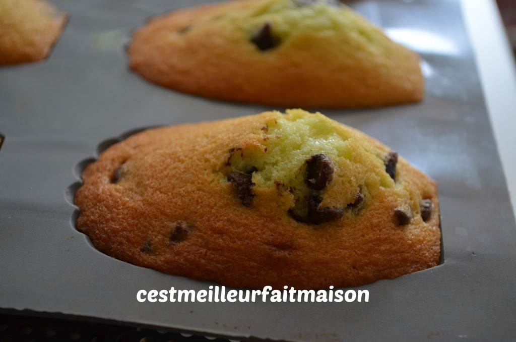 Madeleines menthe chocolat