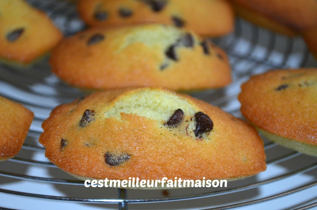 Madeleines menthe chocolat