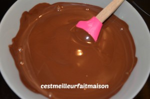 Gâteau au chocolat sans beurre ni sucre