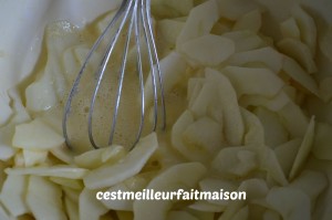 Petits invisibles aux pommes