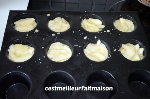 Petits invisibles aux pommes