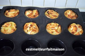 Petits invisibles aux pommes