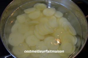 Gratin de pommes de terre au saumon