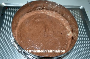 Gâteau au chocolat sans beurre ni sucre