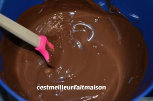 Gâteau au chocolat et aux petits suisses