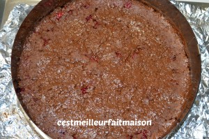 Crousti-fondant au chocolat et aux framboises