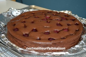 Crousti-fondant au chocolat et aux framboises